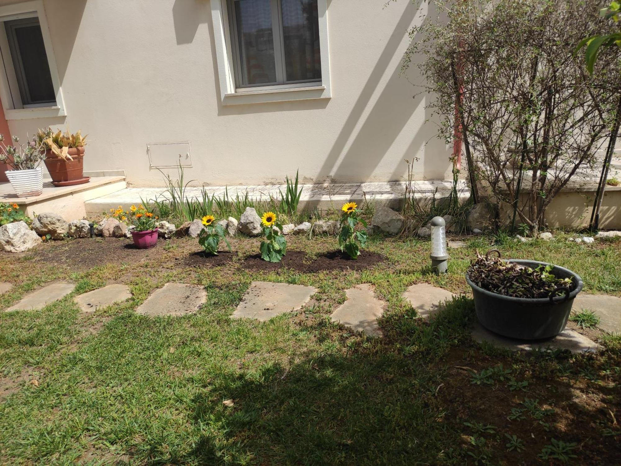 Villino Matilde Apartamento *
